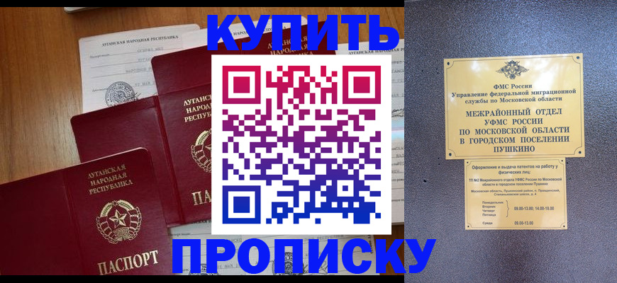 прописка в квартире в Шилке